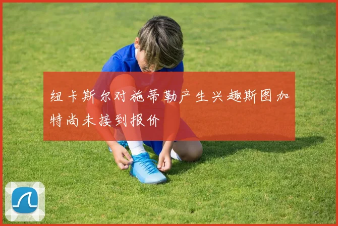纽卡斯尔对施蒂勒产生兴趣斯图加特尚未接到报价